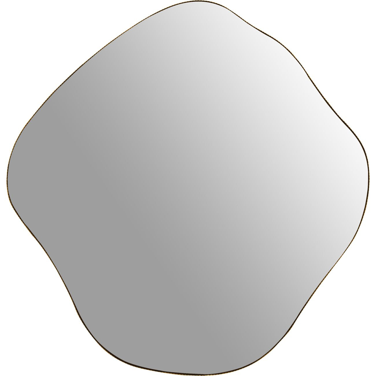 Organic Abstract Aged Champagne Finish Wall Mirror | Medium